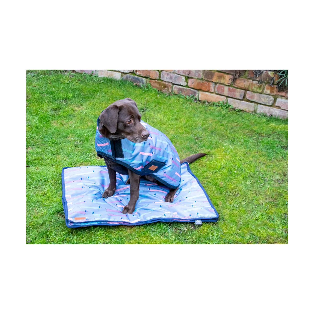 Benji & Flo Dorris The Dachshund Dog Coat