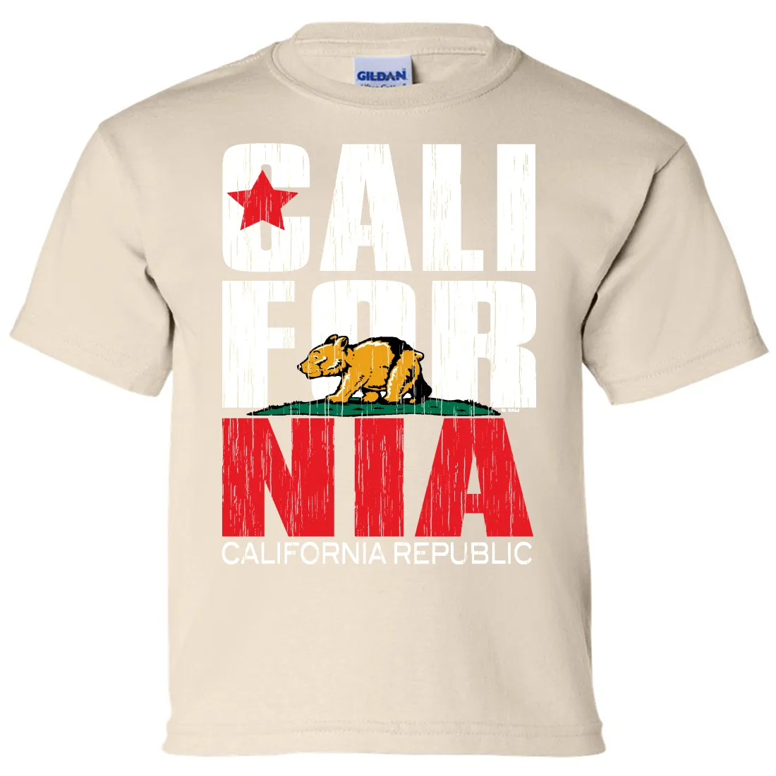 California Republic Vintage Retro Asst Colors Youth T-Shirt/tee