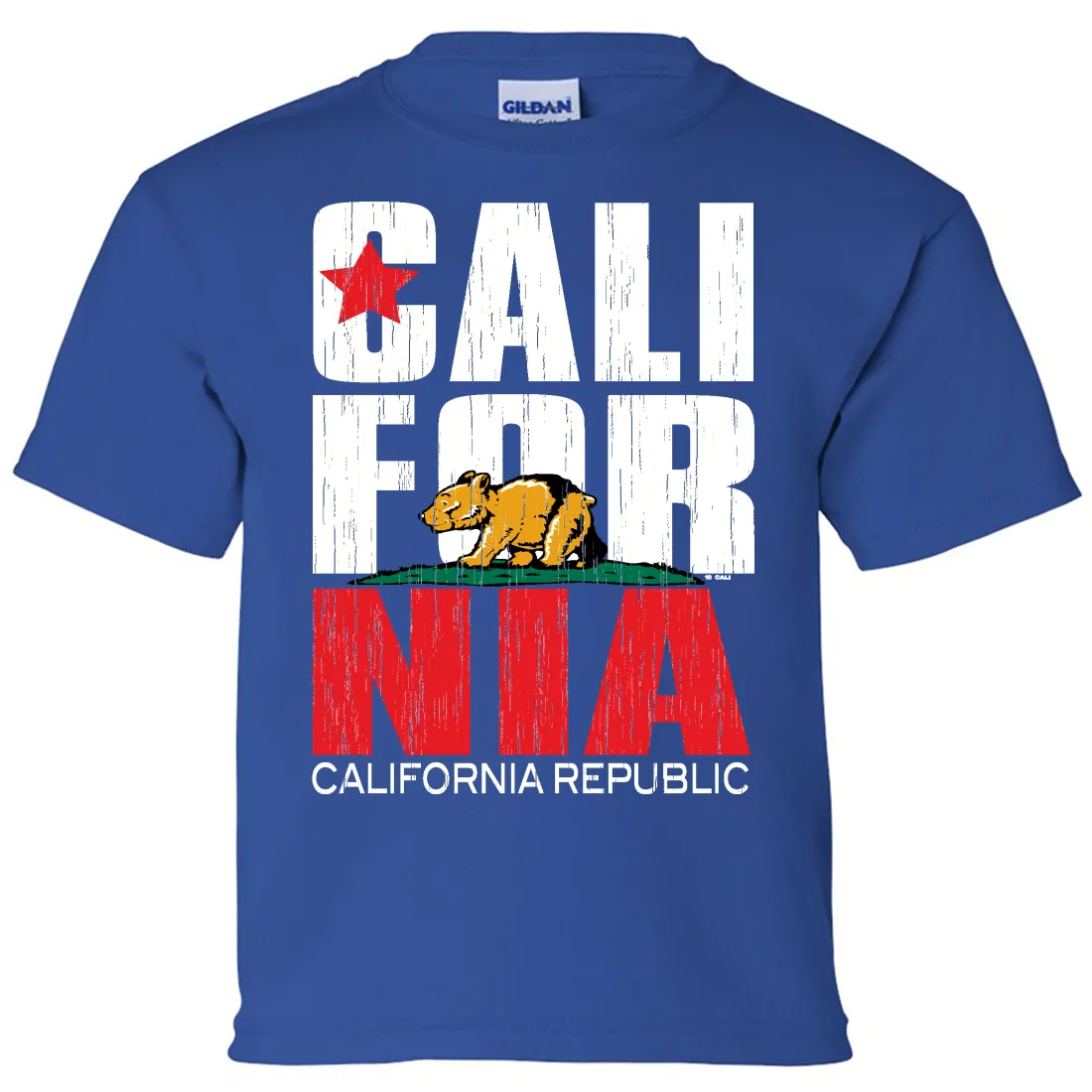 California Republic Vintage Retro Asst Colors Youth T-Shirt/tee