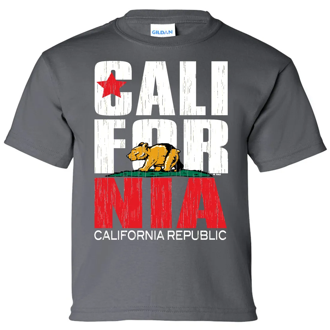 California Republic Vintage Retro Asst Colors Youth T-Shirt/tee