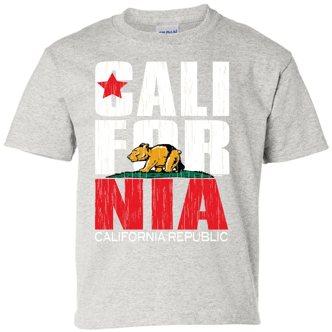 California Republic Vintage Retro Asst Colors Youth T-Shirt/tee