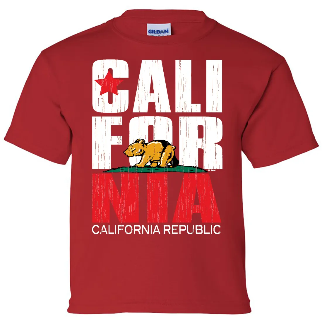 California Republic Vintage Retro Asst Colors Youth T-Shirt/tee