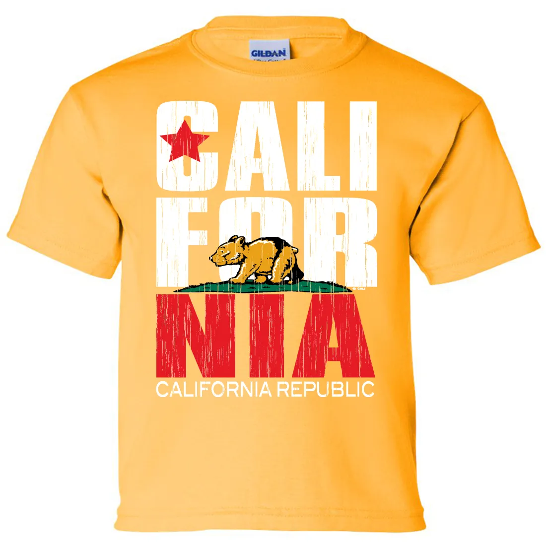California Republic Vintage Retro Asst Colors Youth T-Shirt/tee