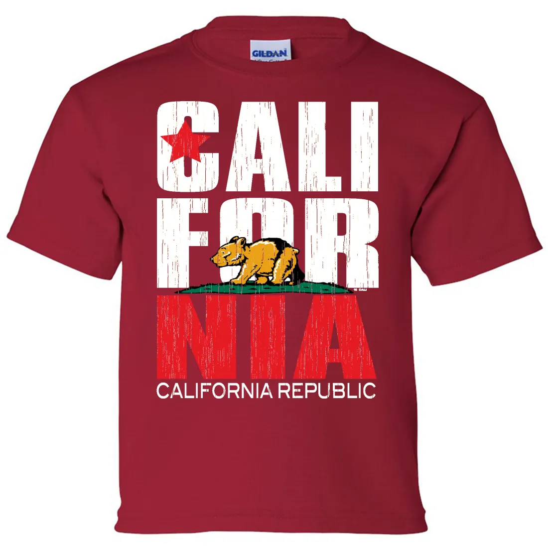 California Republic Vintage Retro Asst Colors Youth T-Shirt/tee