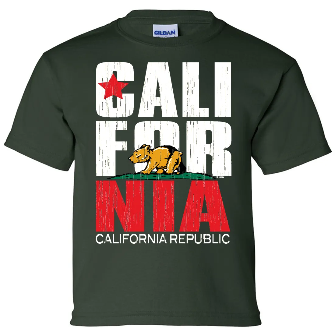California Republic Vintage Retro Asst Colors Youth T-Shirt/tee