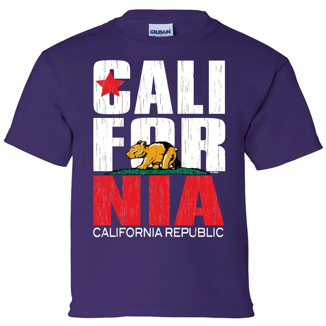 California Republic Vintage Retro Asst Colors Youth T-Shirt/tee