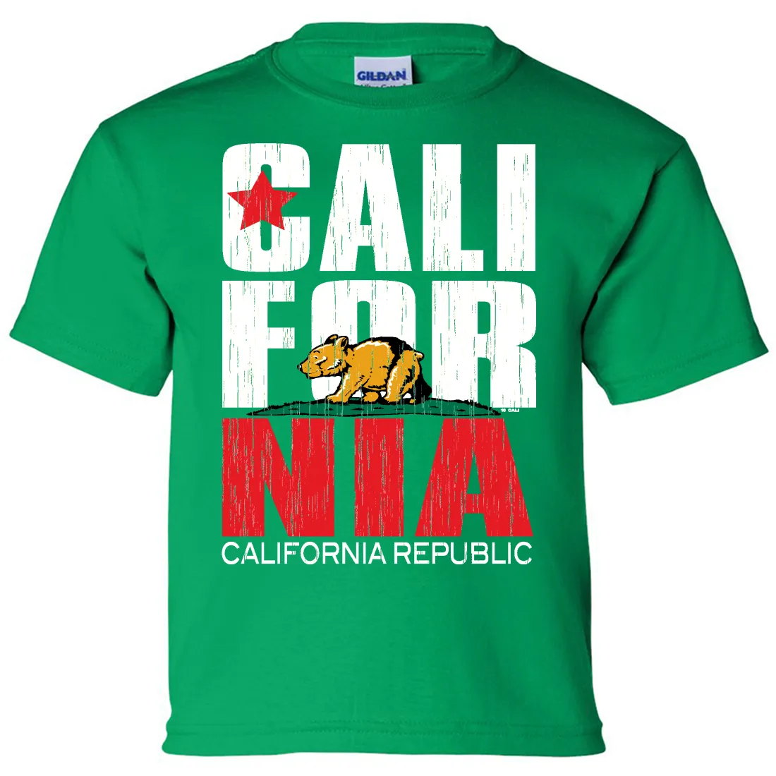 California Republic Vintage Retro Asst Colors Youth T-Shirt/tee