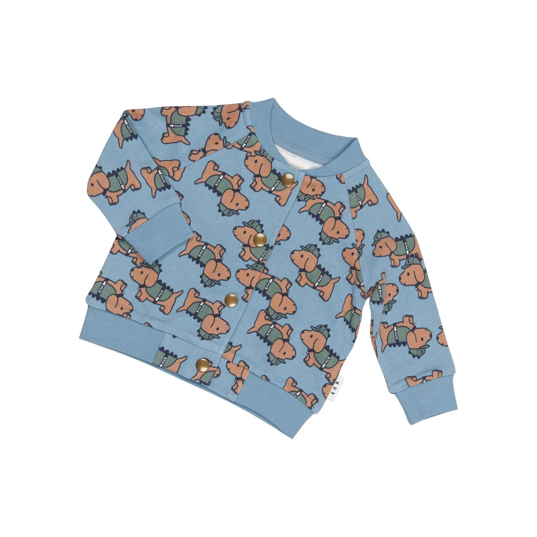 Dino Dog Bomber Mountain Blue