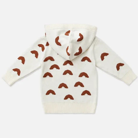 Knit Hooded Baby Sweater - Rainbow