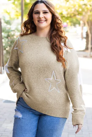 Star Pattern Plus Size Sweater