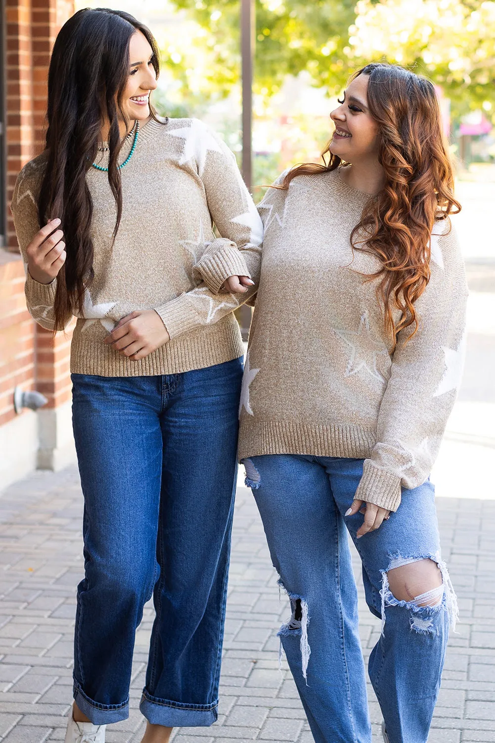 Star Pattern Plus Size Sweater