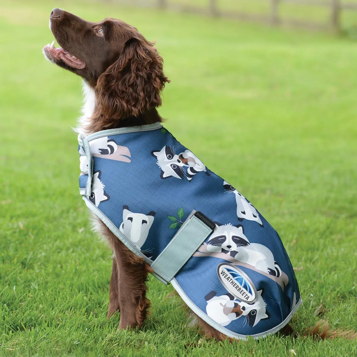 Weatherbeeta Comfitec Premier Free Parka Dog Coat Medium