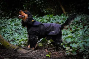 Whitaker Dog Coat Sydney